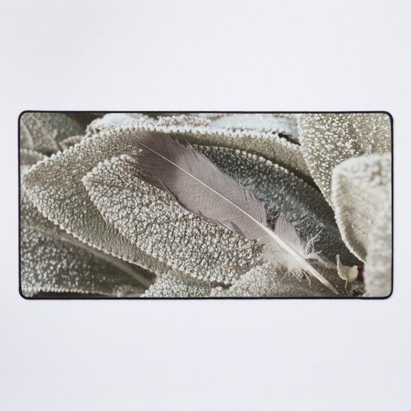 Item preview, Gray Feather On Frost Covered Plant designed and sold by FeatherfallSTU.