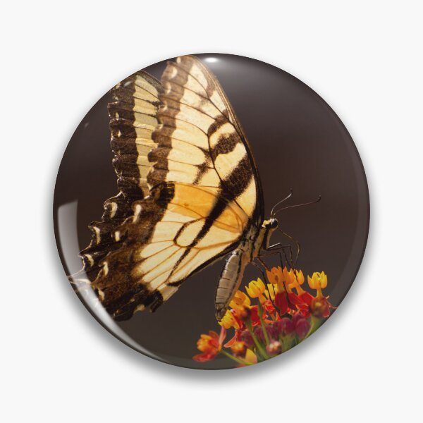 Item preview, Swallowtail butterfly on milkweed flower designed and sold by Zina Stromberg.