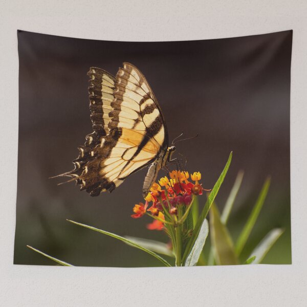 Item preview, Swallowtail butterfly on milkweed flower designed and sold by Zina Stromberg.