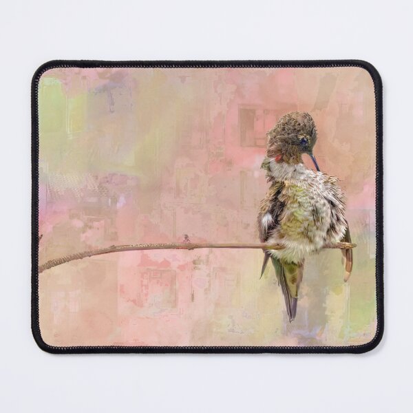 Item preview, Hummer Preening  designed and sold by CarolM.