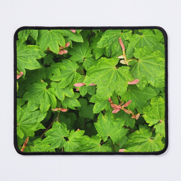 Item preview, maple leaves with pink seeds designed and sold by FeralBDesigns.