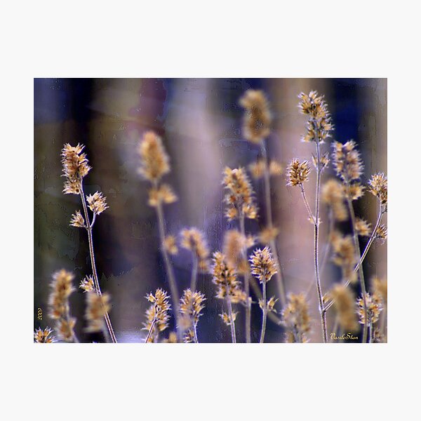 Concrete reality prevails Photographic Print