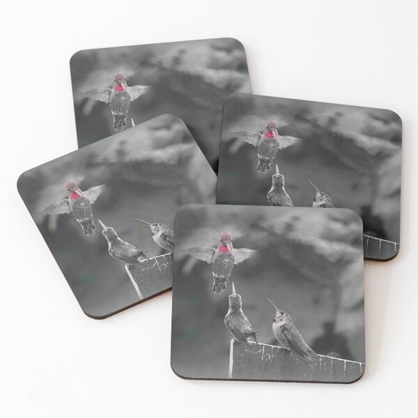 Item preview, Three Hummers Interacting designed and sold by CarolM.