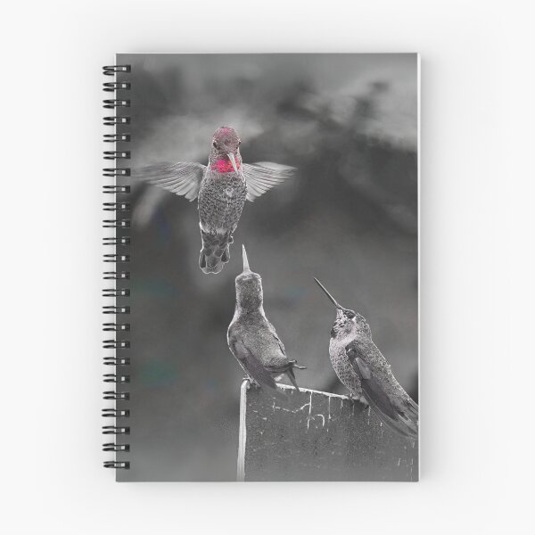 Item preview, Three Hummers Interacting designed and sold by CarolM.