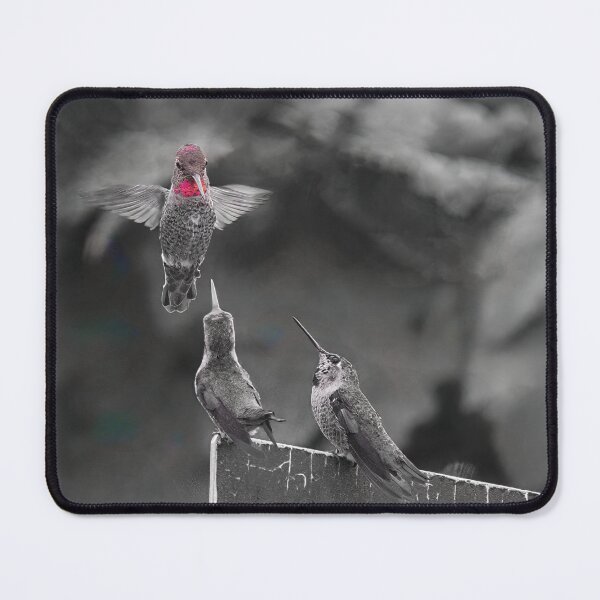 Item preview, Three Hummers Interacting designed and sold by CarolM.