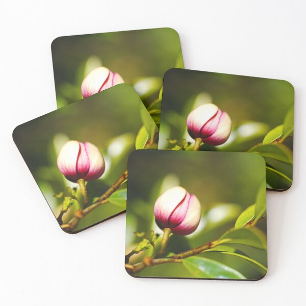 Item preview, The Port Wine Magnolia Flower designed and sold by Joy Watson - Natural Light Photography .