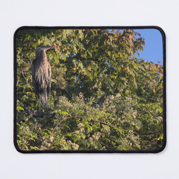 Item preview, Heron standing majestically designed and sold by Redtara.