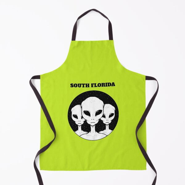 Artikelvorschau, Südflorida hat ein UFO entworfen und verkauft von LakelandT.