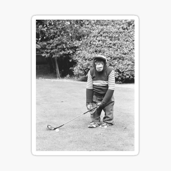 Item preview, A Chimpanzee playing a round of golf designed and sold by eminelsaires.