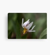Crown Metal Print