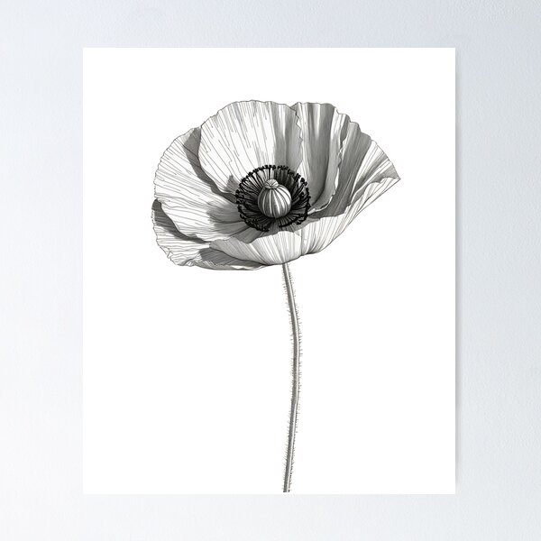 Item preview, Graceful Poppy Flower Sketch designed and sold by OleOleStore.