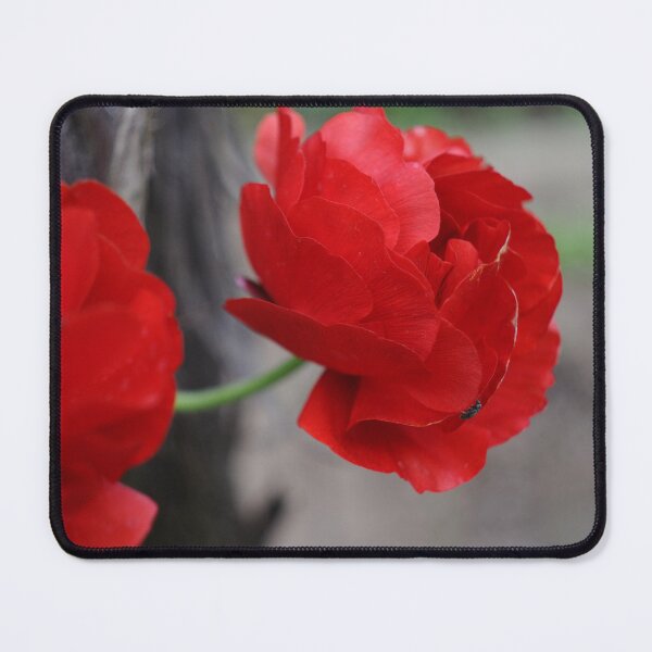 Item preview, Royal Red designed and sold by ColourMoods.