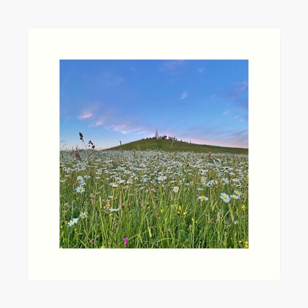 Summer solstice sunrise with daisies Art Print