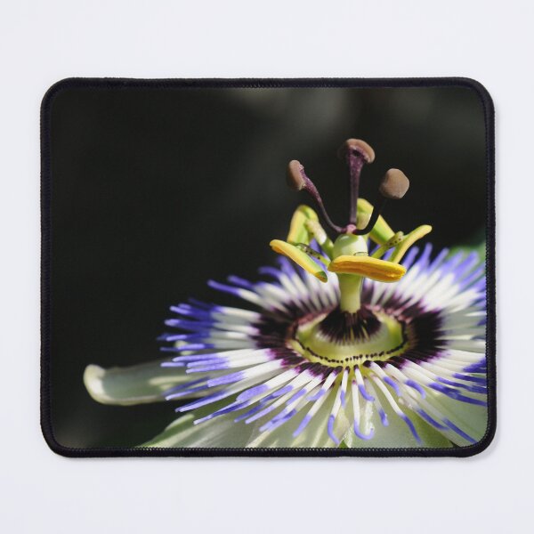 Item preview, UFO designed and sold by ColourMoods.