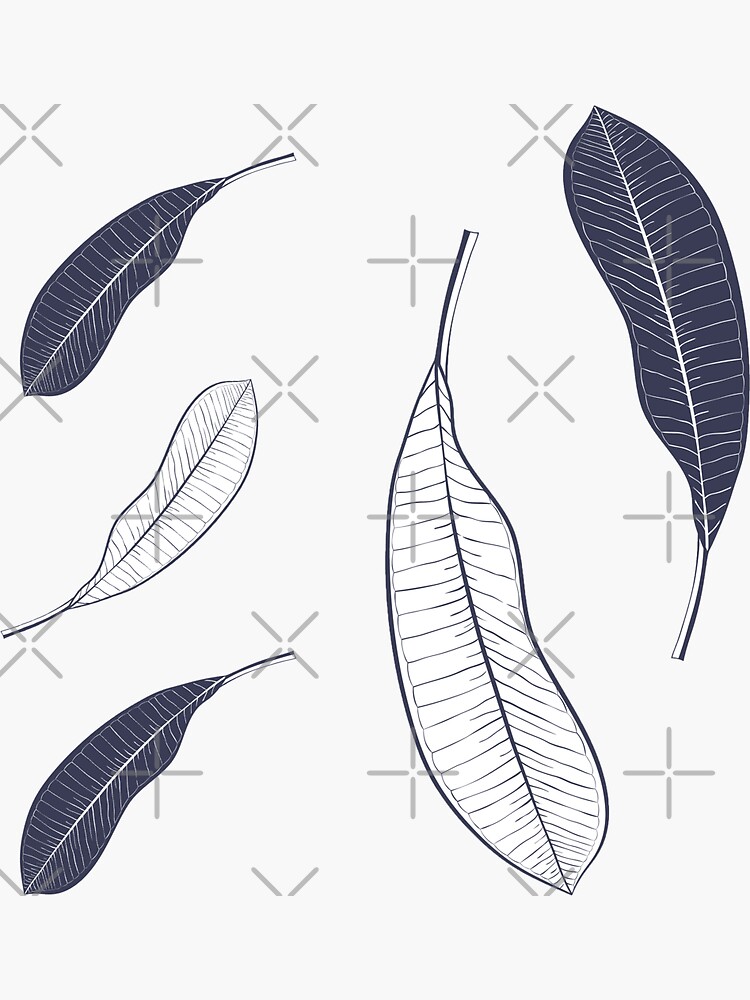 Types of leaf. Outline leaves of different types, isolated on white  background. Hand drawn Monochrome realistic illustration Stock Vector Image  & Art - Alamy