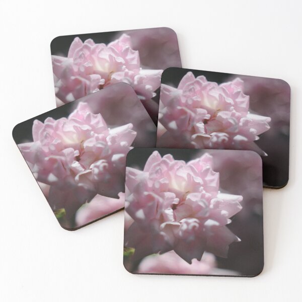 Item preview, The Queen Rose designed and sold by ColourMoods.