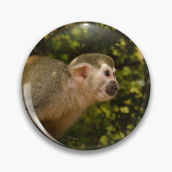 Item preview, A Serious Little Squirrel Monkey designed and sold by elstoleno.