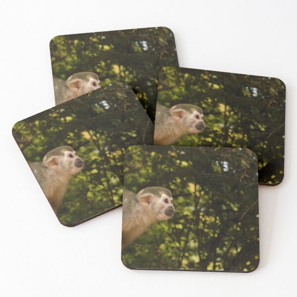 Item preview, A Serious Little Squirrel Monkey designed and sold by elstoleno.