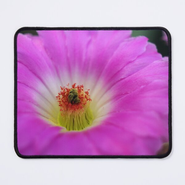 Item preview, Purple Mind Blooming Cacti designed and sold by ColourMoods.