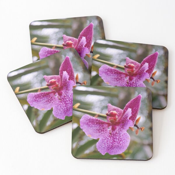 Item preview, Dendrobium Orchid designed and sold by Helly Peacock.