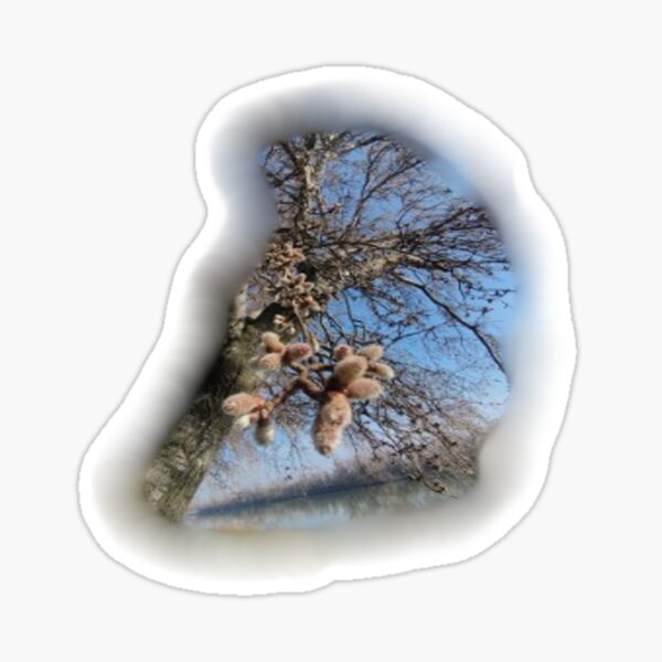 Artikel-Vorschau von Baum und Pollen, designt und verkauft von Kalhanne.