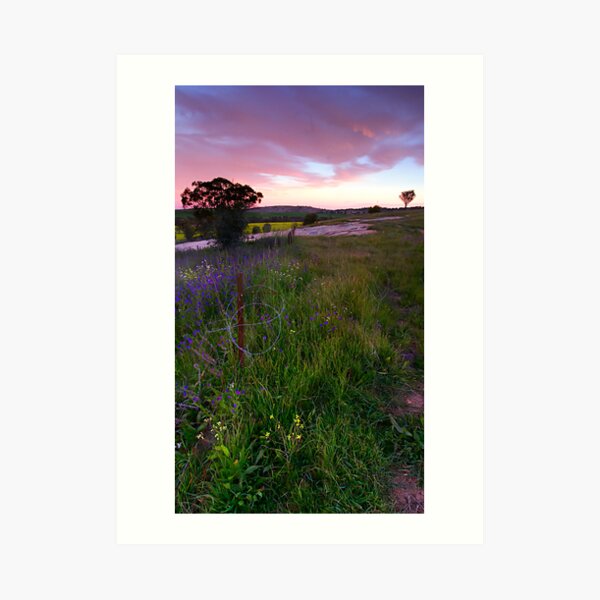 The Fence (broken) Art Print