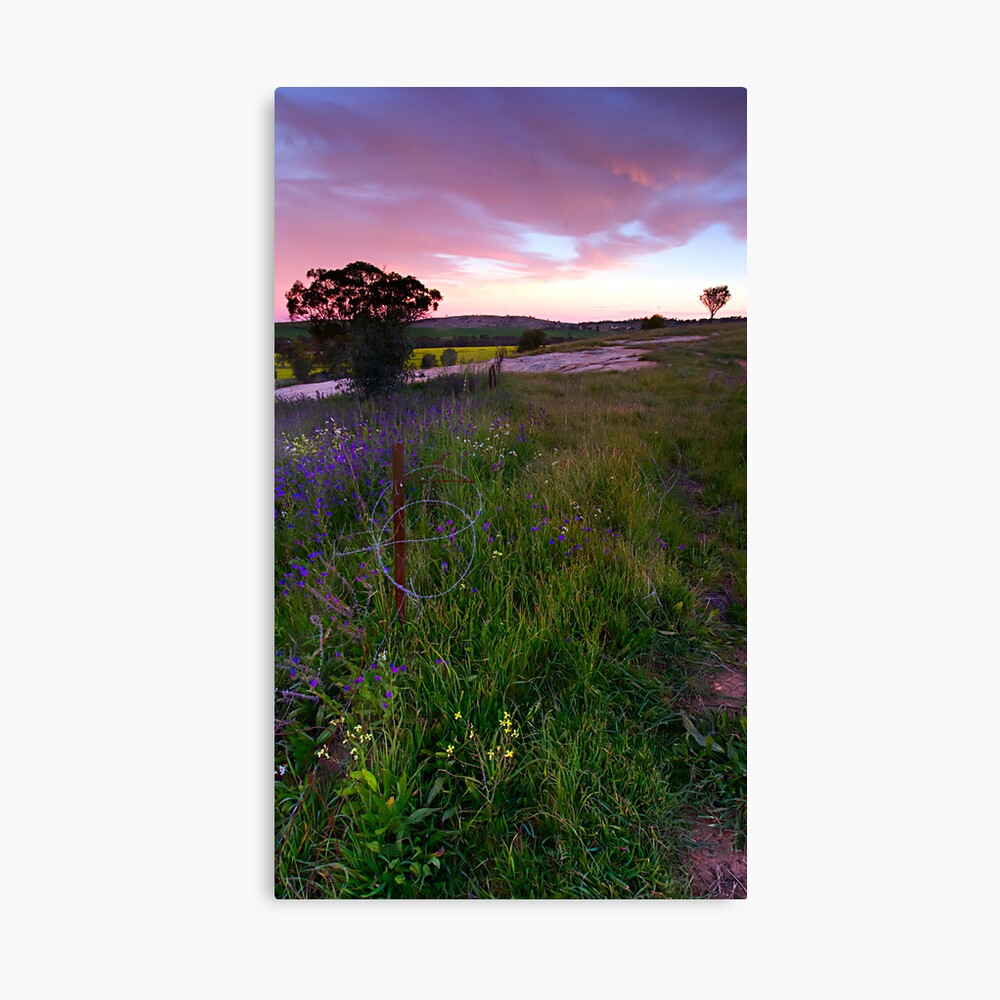 The Fence (broken) Canvas Print