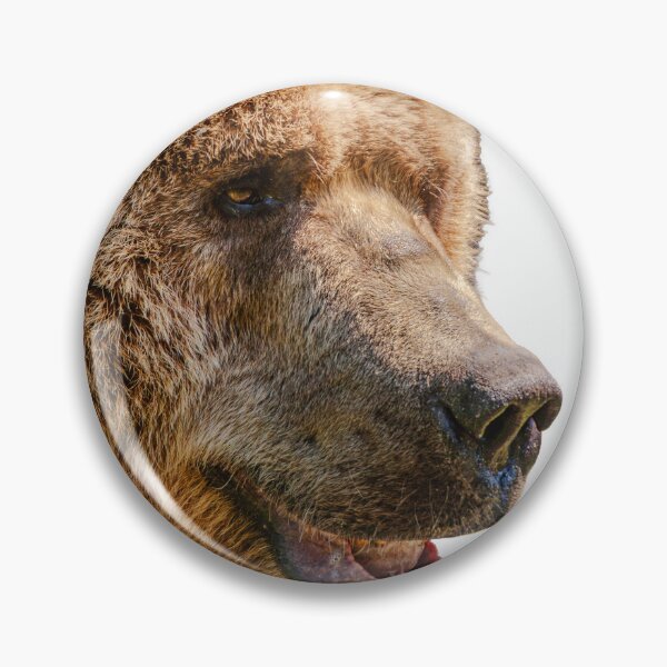 Item preview, Grizzly Bear designed and sold by Dalyndigital Photography.
