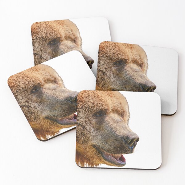 Item preview, Grizzly Bear designed and sold by Dalyndigital Photography.