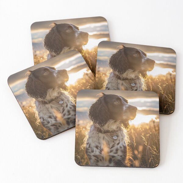 Item preview, Springer Spaniel designed and sold by WebBoutique.