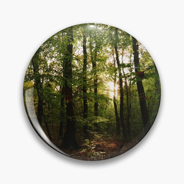 Item preview, A photo of sunlight rays filtering through a dark forest in the morning designed and sold by Vetagio.