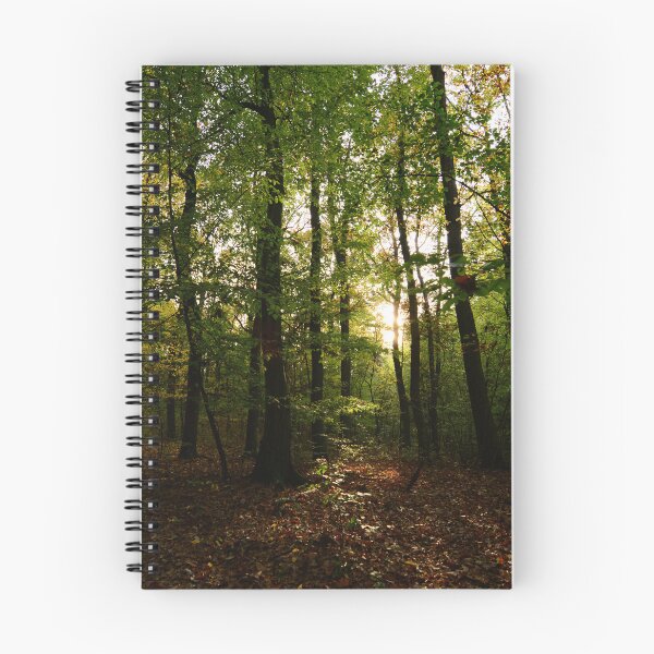 Item preview, A photo of sunlight rays filtering through a dark forest in the morning designed and sold by Vetagio.