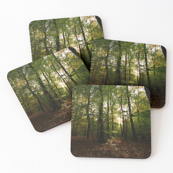 Item preview, A photo of sunlight rays filtering through a dark forest in the morning designed and sold by Vetagio.
