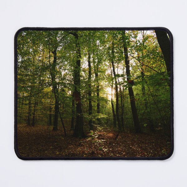 Item preview, A photo of sunlight rays filtering through a dark forest in the morning designed and sold by Vetagio.