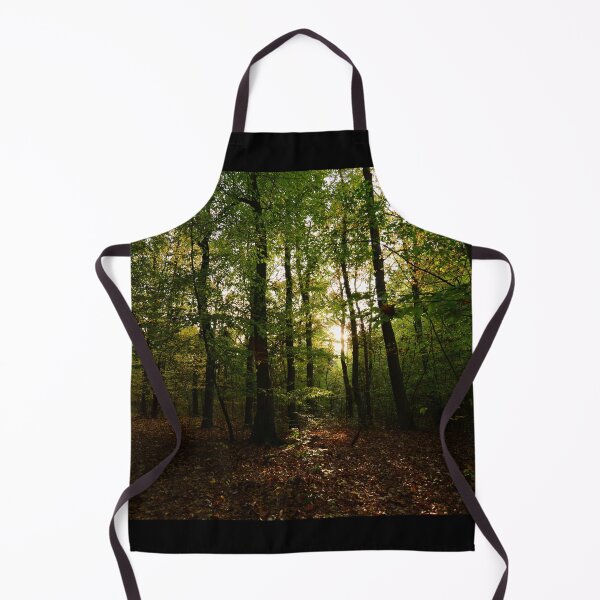 Item preview, A photo of sunlight rays filtering through a dark forest in the morning designed and sold by Vetagio.