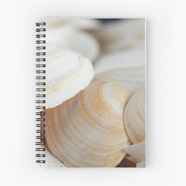 Item preview, A photo of a background with small, light-colored sea shells designed and sold by Vetagio.