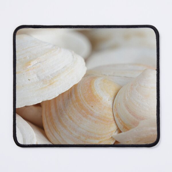 Item preview, A photo of a background with small, light-colored sea shells designed and sold by Vetagio.