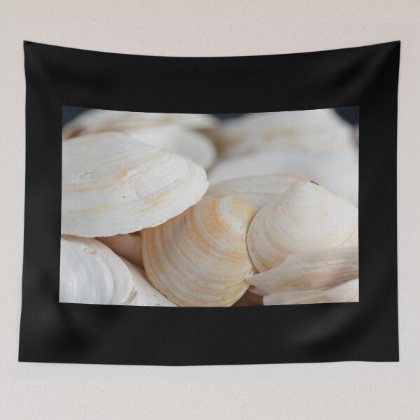 Item preview, A photo of a background with small, light-colored sea shells designed and sold by Vetagio.