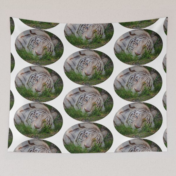 Item preview, White Bengal Tiger with blue eyes designed and sold by Dalyndigital Photography.