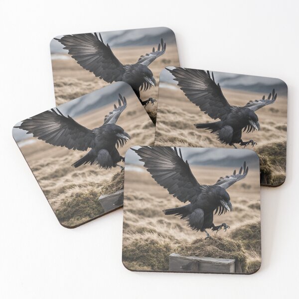 Item preview, Raven designed and sold by Street Corsairs.