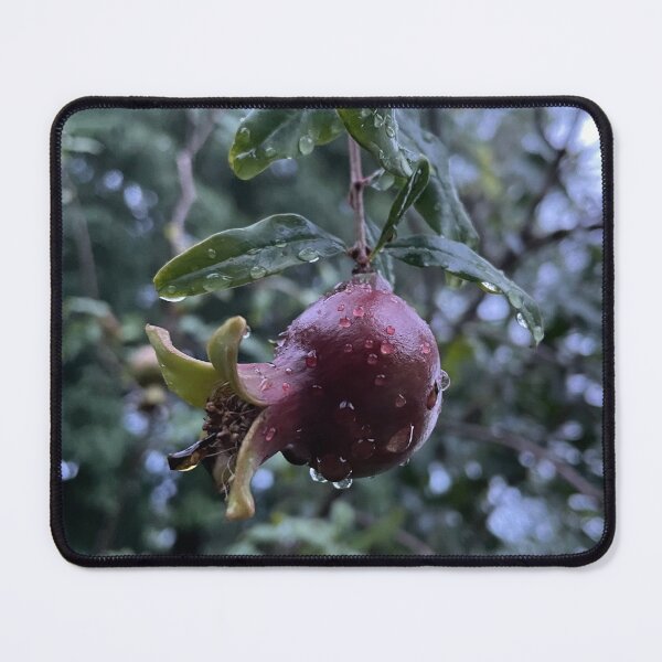 Item preview, Small Pomegranate designed and sold by Sparkleweather.