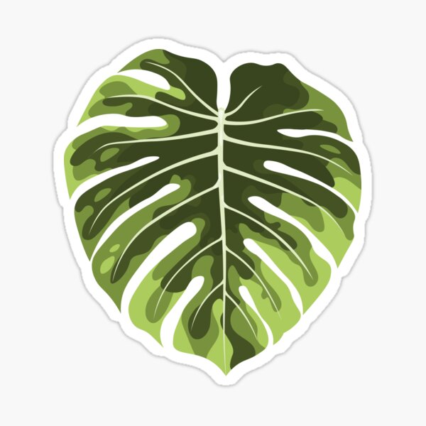 Vista previa del artículo con la obra «Hoja de Monstera Albo», diseñado y vendido por Art-of-Rory.