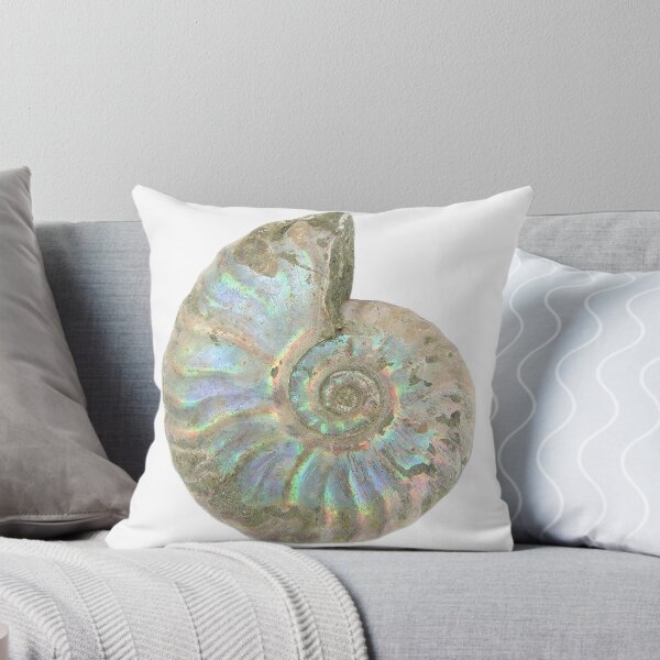 Aperçu de l'œuvre Tourbillon de coquille de perle d’ammonite créée et vendue par ellanely.