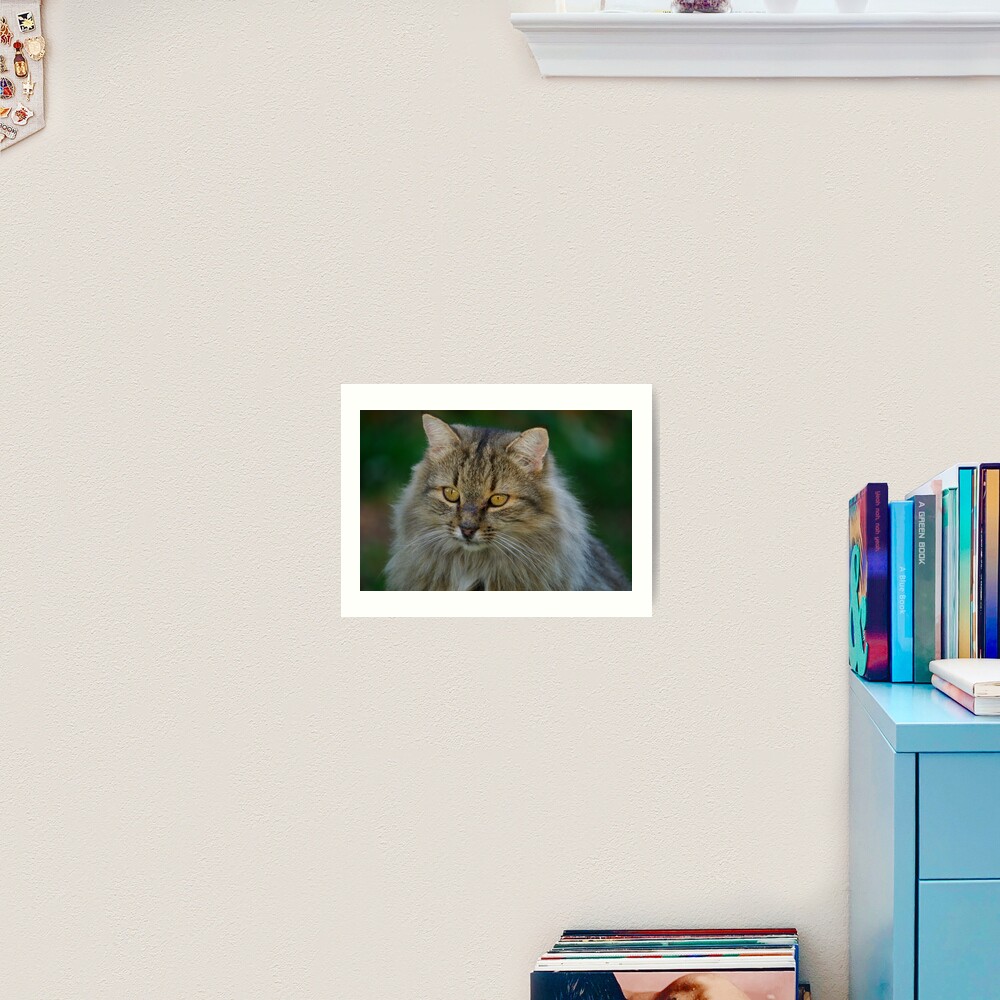 Ornithologist Art Print
