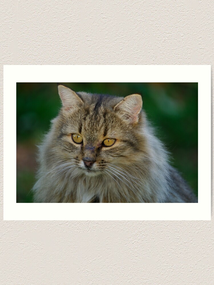 Alternate view of Ornithologist Art Print