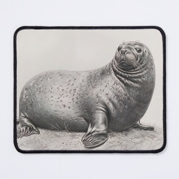 Item preview, Black and white seal pencil drawing designed and sold by Pencil-Art.