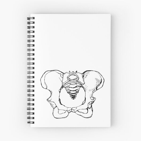 Item preview, Pelvis designed and sold by turhake.