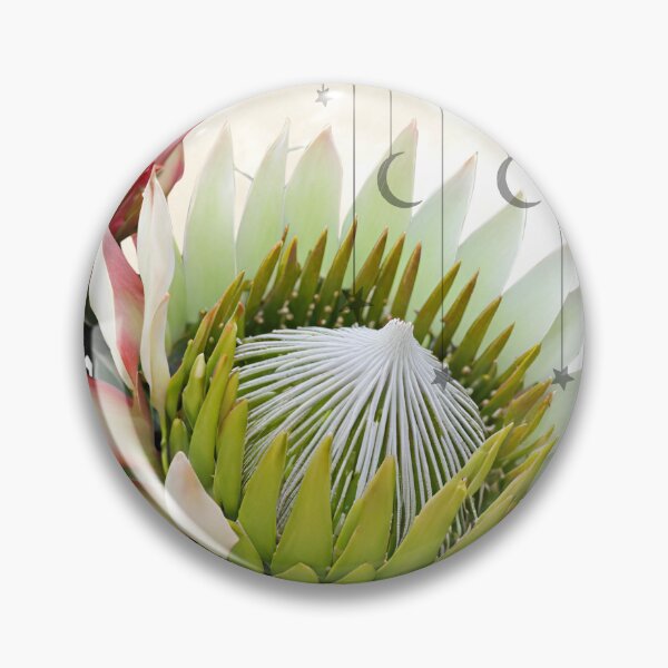 Item preview, moon flower protea designed and sold by Yeyishop.