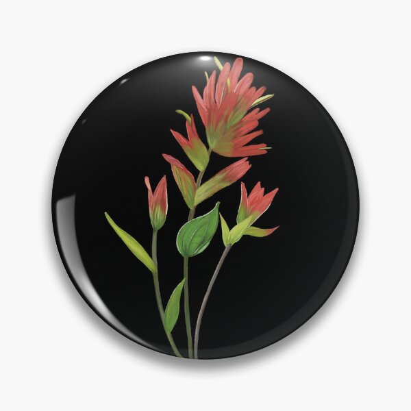 Artikelvorschau, Indianer-Pinsel Castilleja Wildblume entworfen und verkauft von Angie-Atelier.