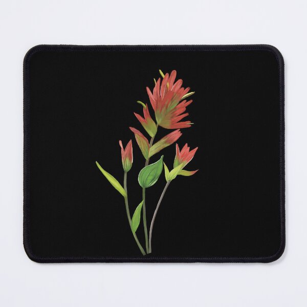 Item preview, Indian Paintbrush Castilleja Wildflower designed and sold by Angie-Atelier.